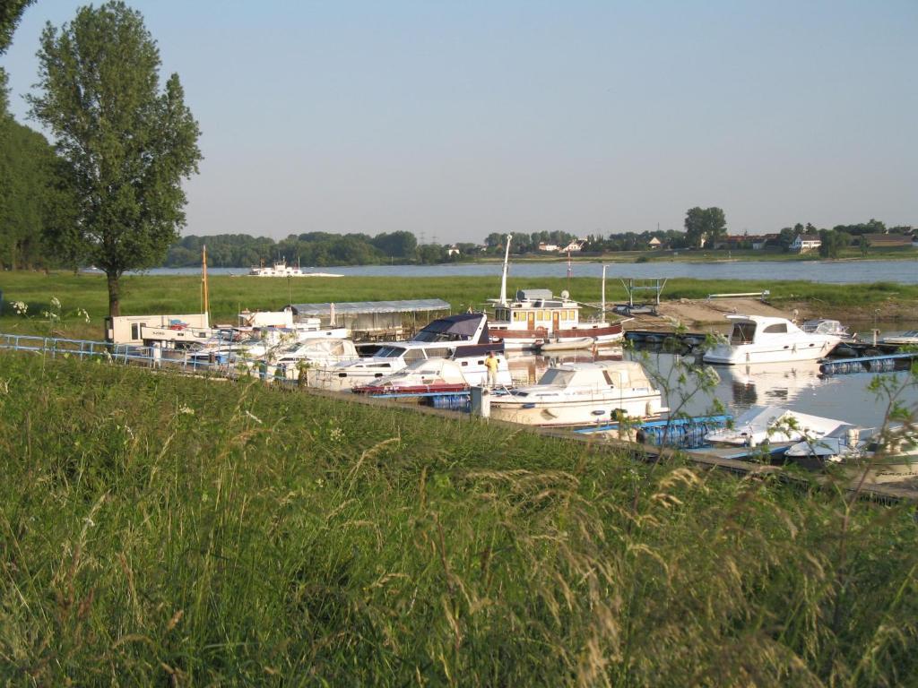 Rhein River Guesthouse - Direkt Am Rhein Леверкузен Экстерьер фото