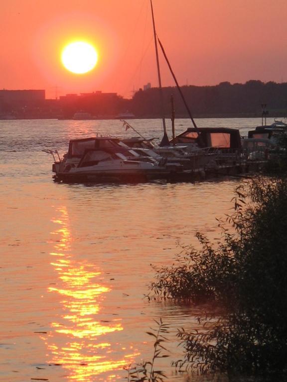 Rhein River Guesthouse - Direkt Am Rhein Леверкузен Экстерьер фото