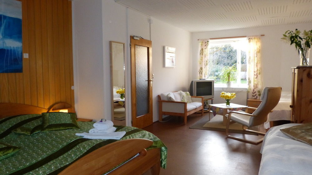 Rhein River Guesthouse - Direkt Am Rhein Леверкузен Экстерьер фото