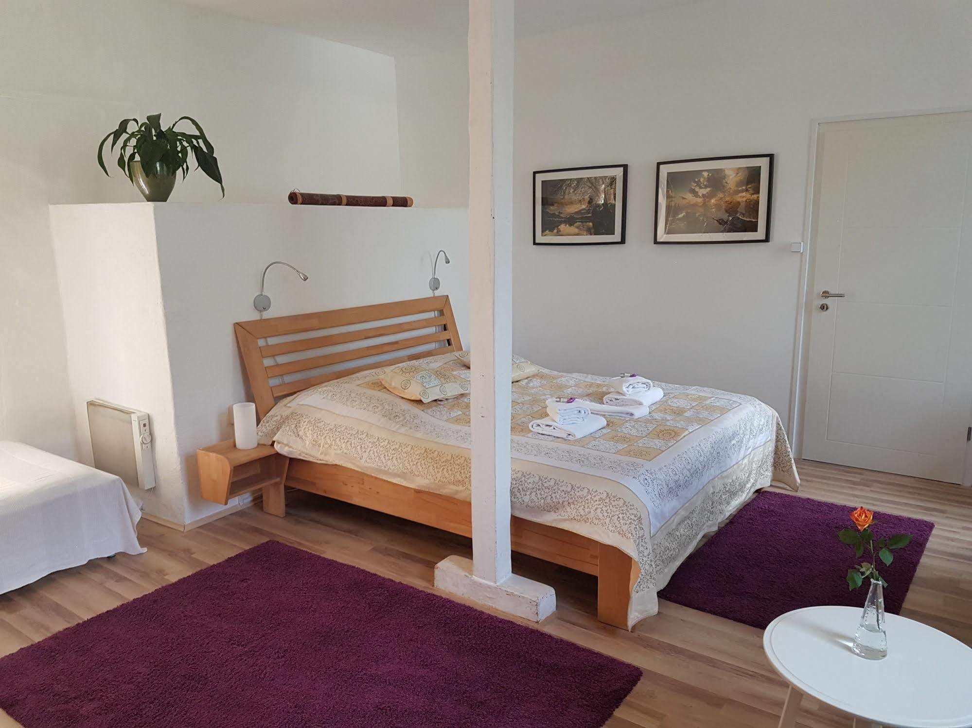 Rhein River Guesthouse - Direkt Am Rhein Леверкузен Экстерьер фото